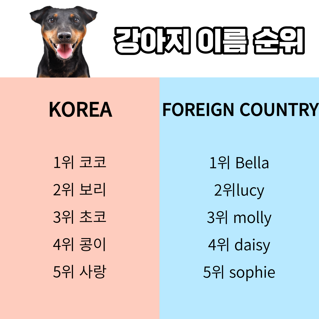 강아지 이름 어떻게 지을까? Tip 4가지 : 네이버 포스트