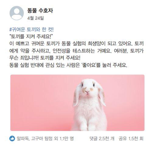동물 실험, 꼭 필요한 걸까? : 네이버 포스트