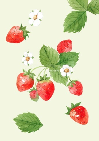딸기(Strawberry)