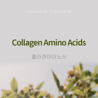 [화장품성분사전] 콜라겐아미노산 (Collagen Amino Acids) : 네이버 포스트
