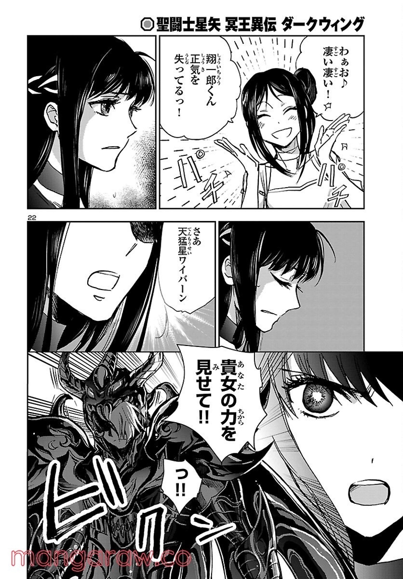 聖闘士星矢・冥王異伝 ダークウィング 第13話 - Page 22