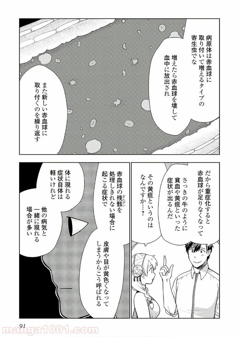 獣医さんのお仕事 IN異世界 第20話 - Page 13