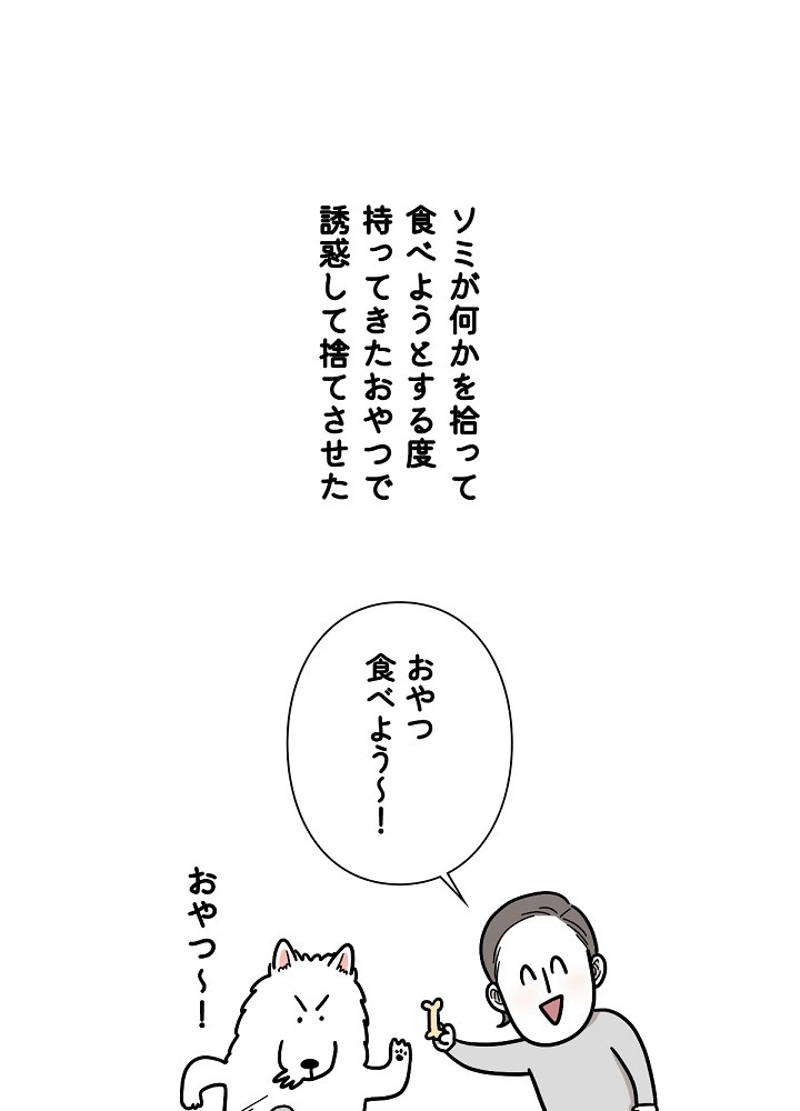 愛犬ソミとの極限ライフ 第6話 - Page 20