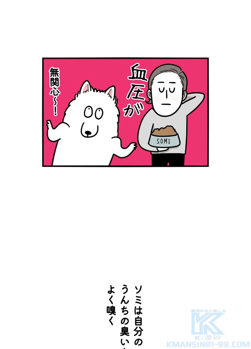 愛犬ソミとの極限ライフ 第6話 - Page 49