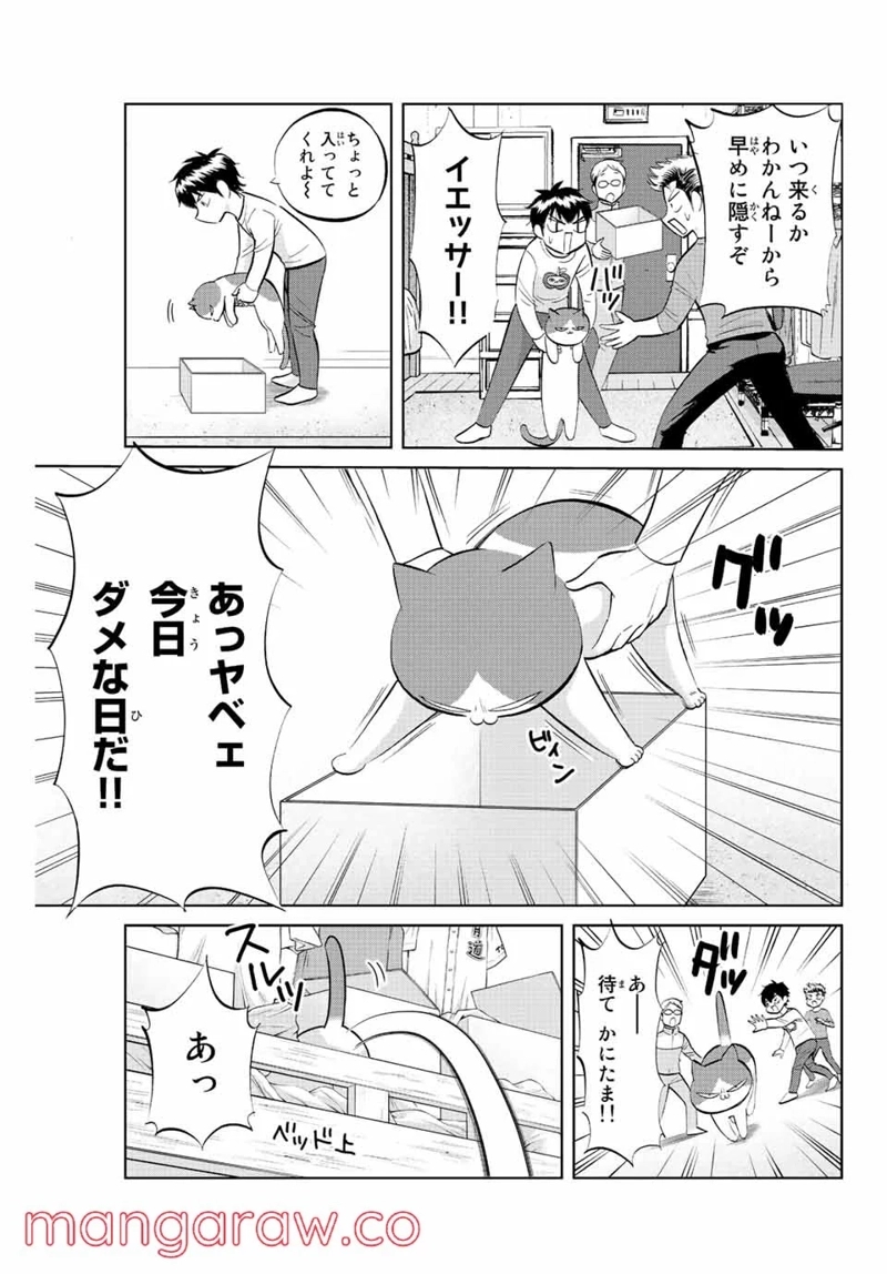 ダイヤのC!! 青道高校野球部猫日誌 第10話 - Page 3