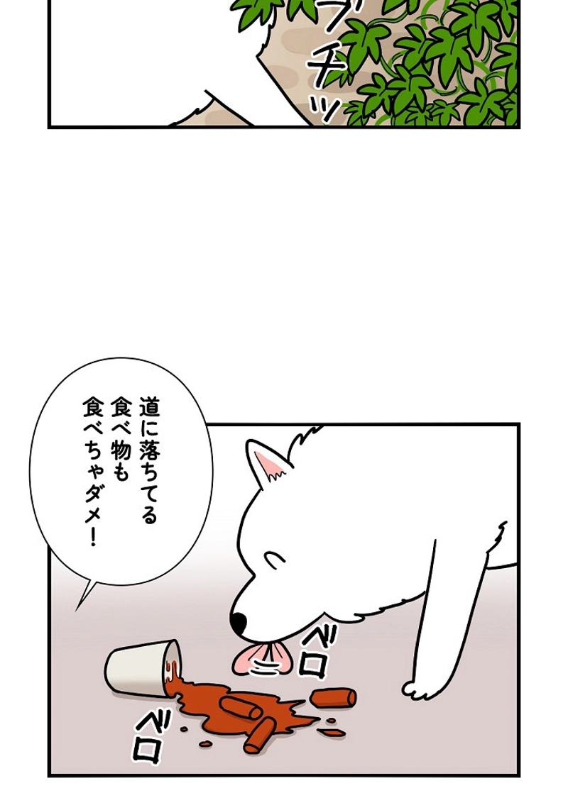 愛犬ソミとの極限ライフ 第6話 - Page 17