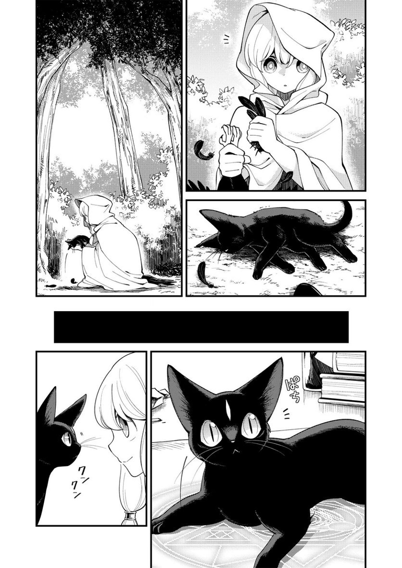 魔女と魔獣 第18話 - Page 11