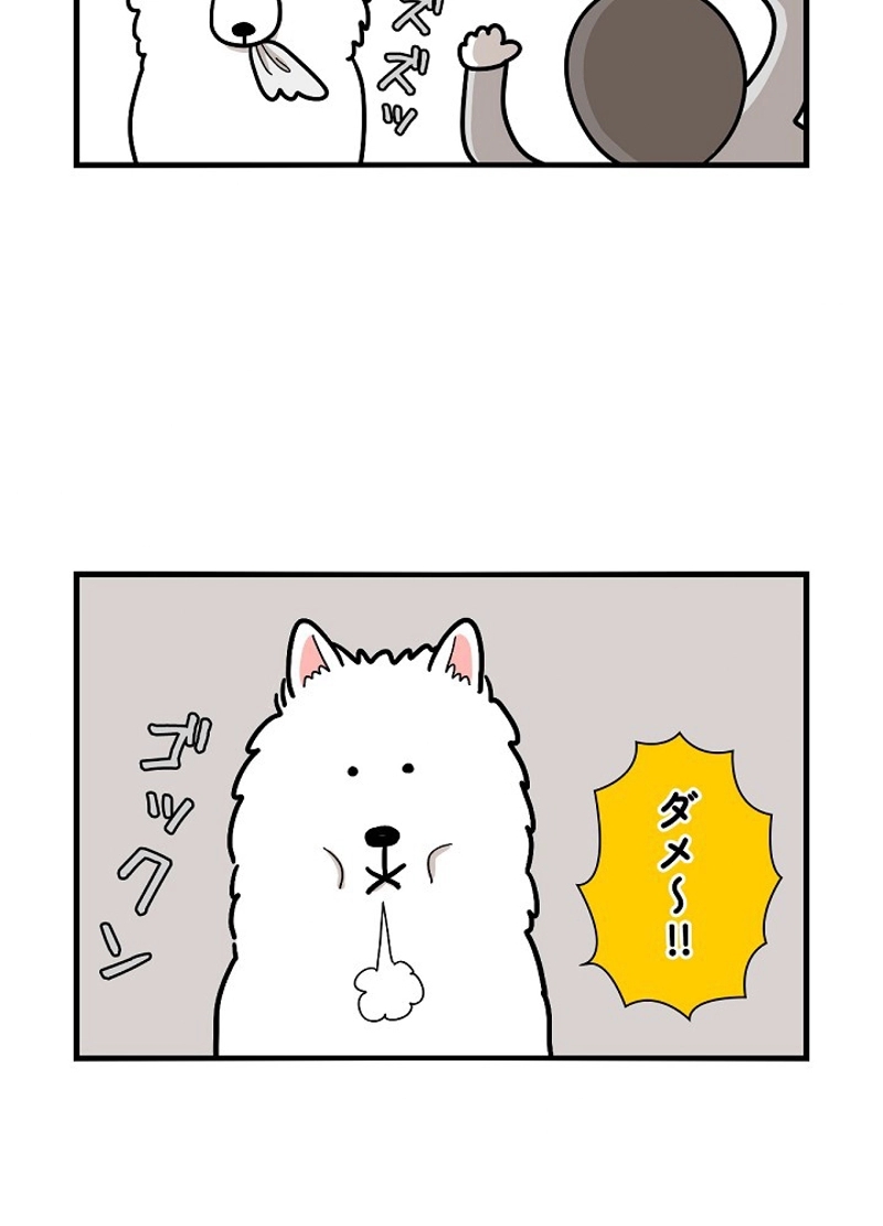 愛犬ソミとの極限ライフ 第6話 - Page 35