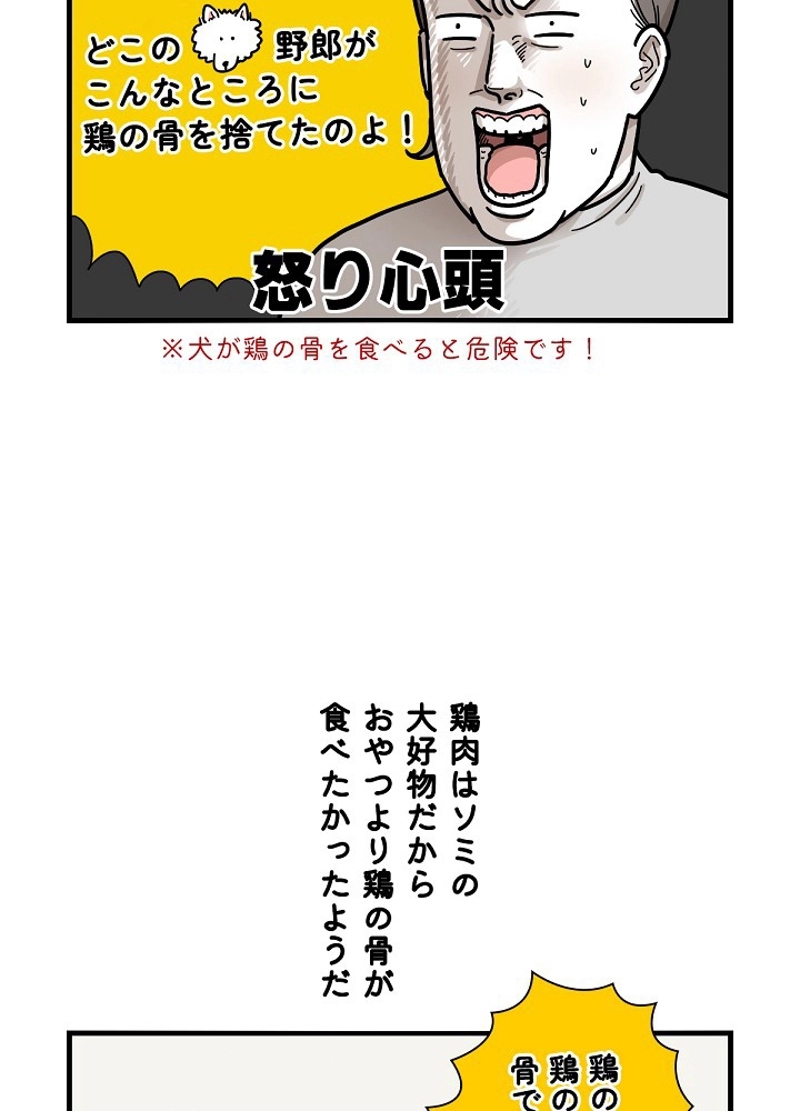 愛犬ソミとの極限ライフ 第6話 - Page 26