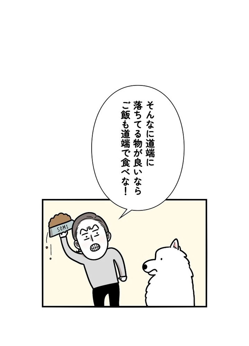 愛犬ソミとの極限ライフ 第6話 - Page 48