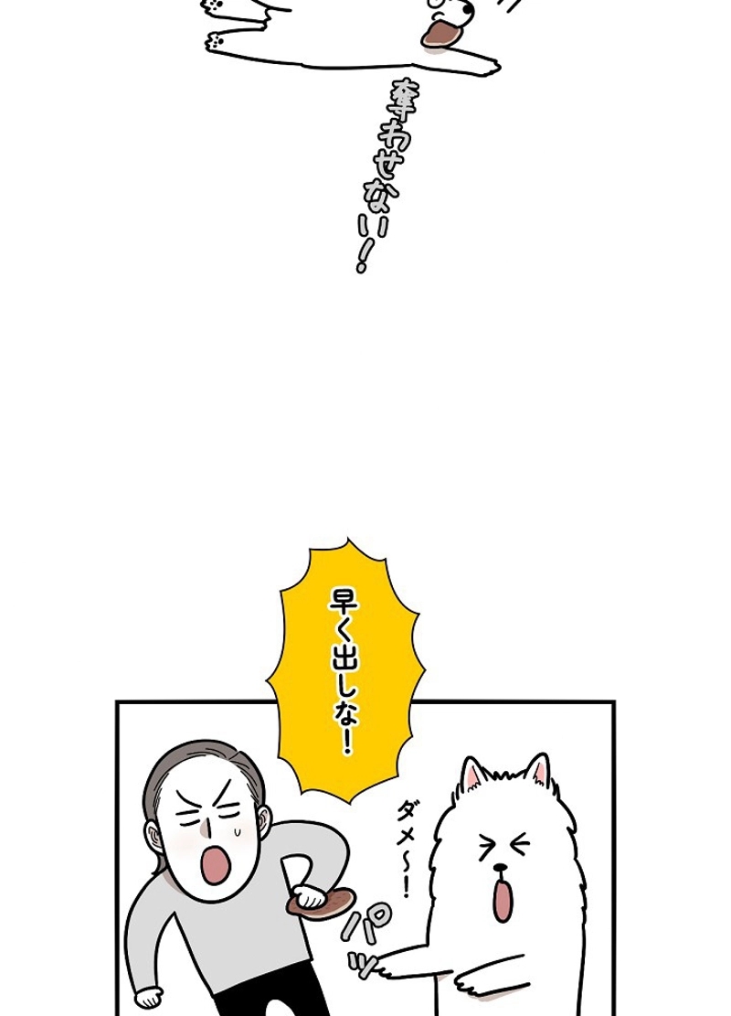 愛犬ソミとの極限ライフ 第6話 - Page 29