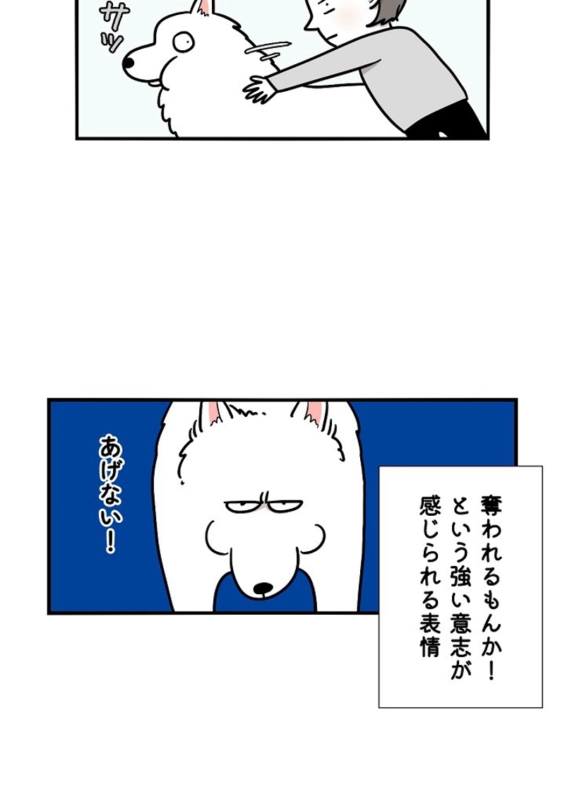 愛犬ソミとの極限ライフ 第6話 - Page 3
