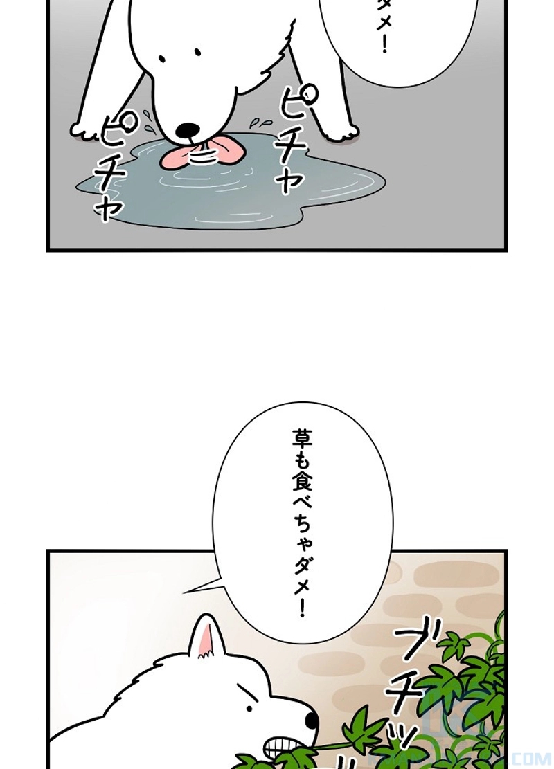 愛犬ソミとの極限ライフ 第6話 - Page 16