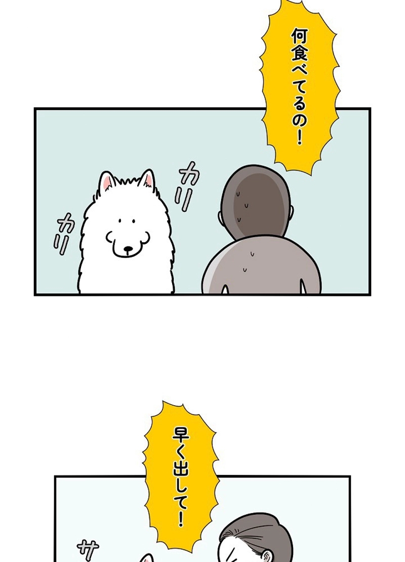 愛犬ソミとの極限ライフ 第6話 - Page 2