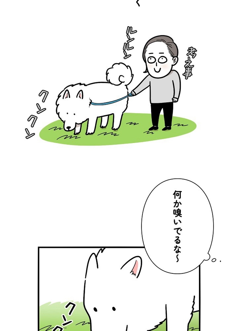 愛犬ソミとの極限ライフ 第6話 - Page 11