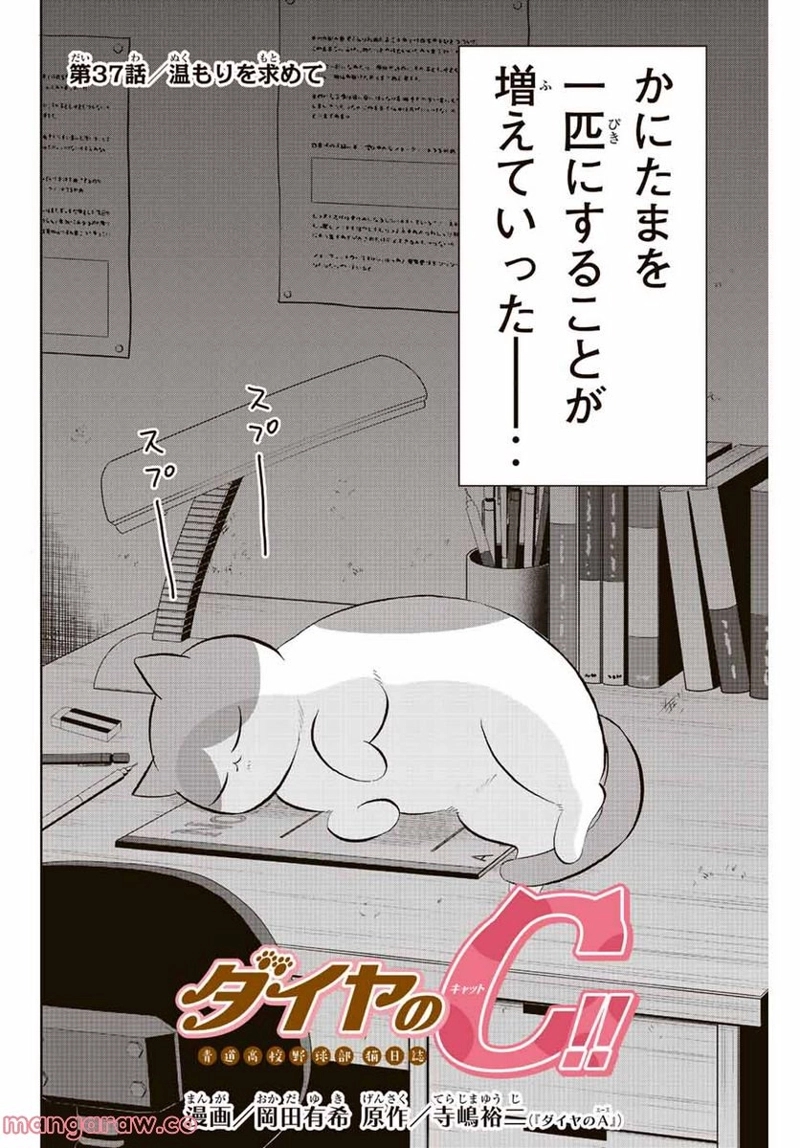 ダイヤのC!! 青道高校野球部猫日誌 第37話 - Page 2