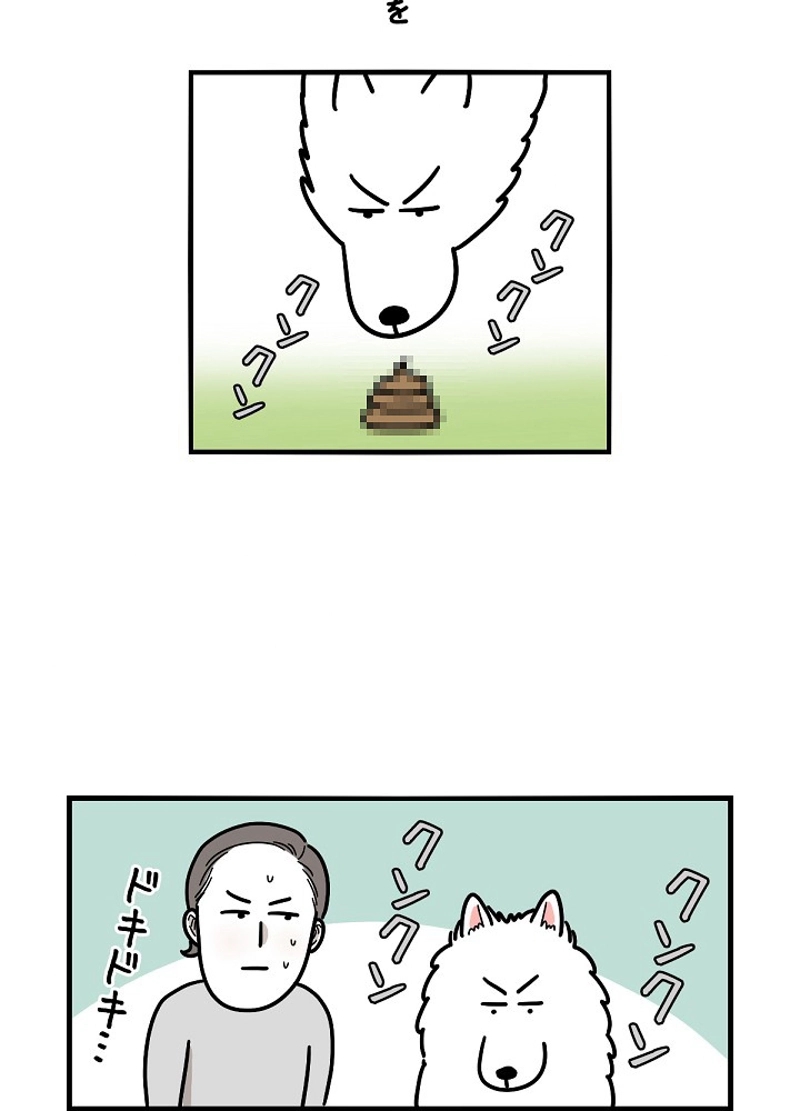 愛犬ソミとの極限ライフ 第6話 - Page 50