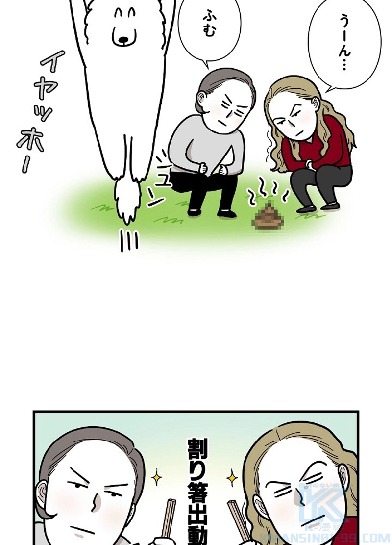 愛犬ソミとの極限ライフ 第6話 - Page 37