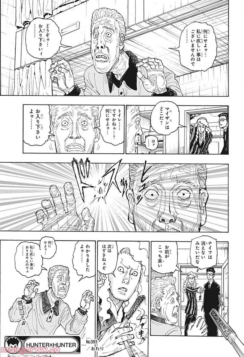 HUNTER X HUNTER 第393話 - Page 19