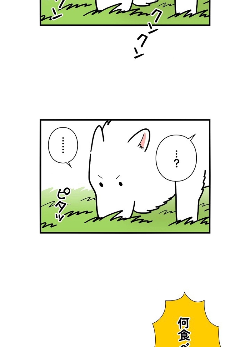 愛犬ソミとの極限ライフ 第6話 - Page 12