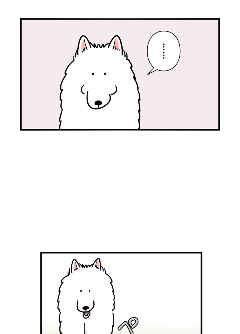 愛犬ソミとの極限ライフ 第6話 - Page 6