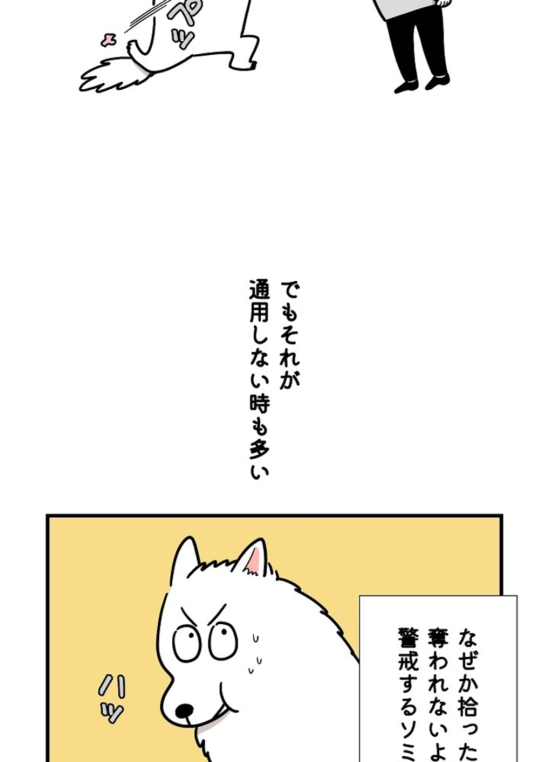 愛犬ソミとの極限ライフ 第6話 - Page 21
