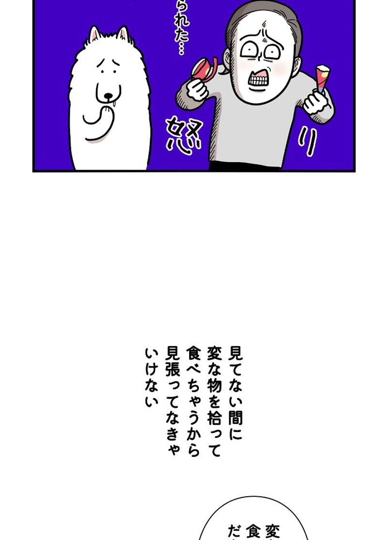 愛犬ソミとの極限ライフ 第6話 - Page 14