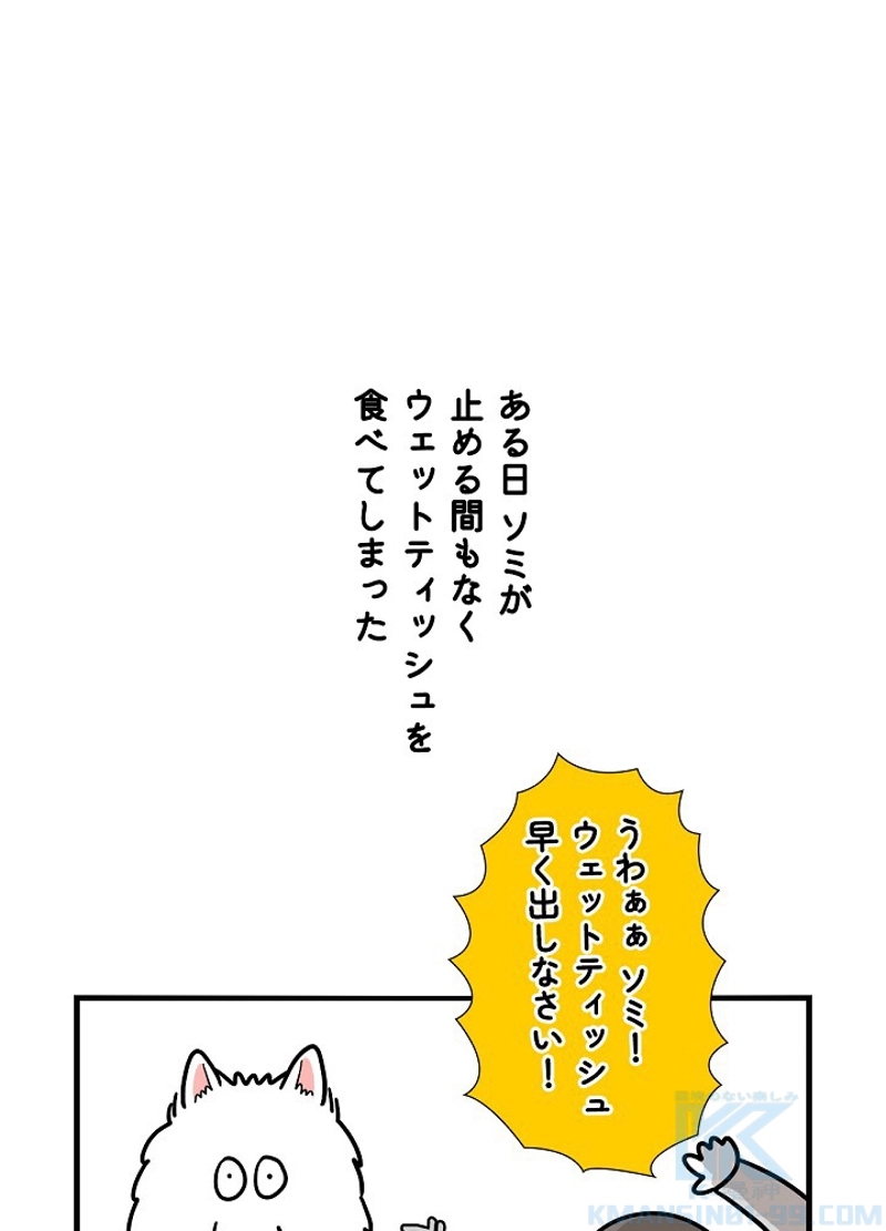 愛犬ソミとの極限ライフ 第6話 - Page 34