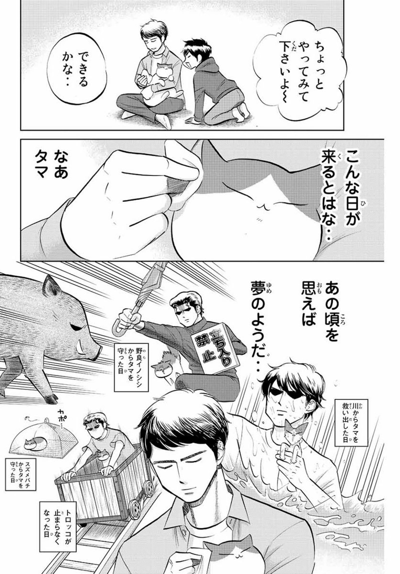 ダイヤのC!! 青道高校野球部猫日誌 第26話 - Page 6