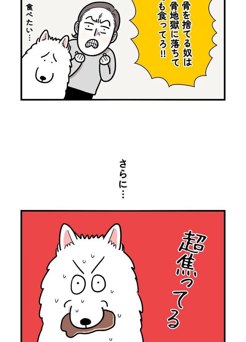 愛犬ソミとの極限ライフ 第6話 - Page 27