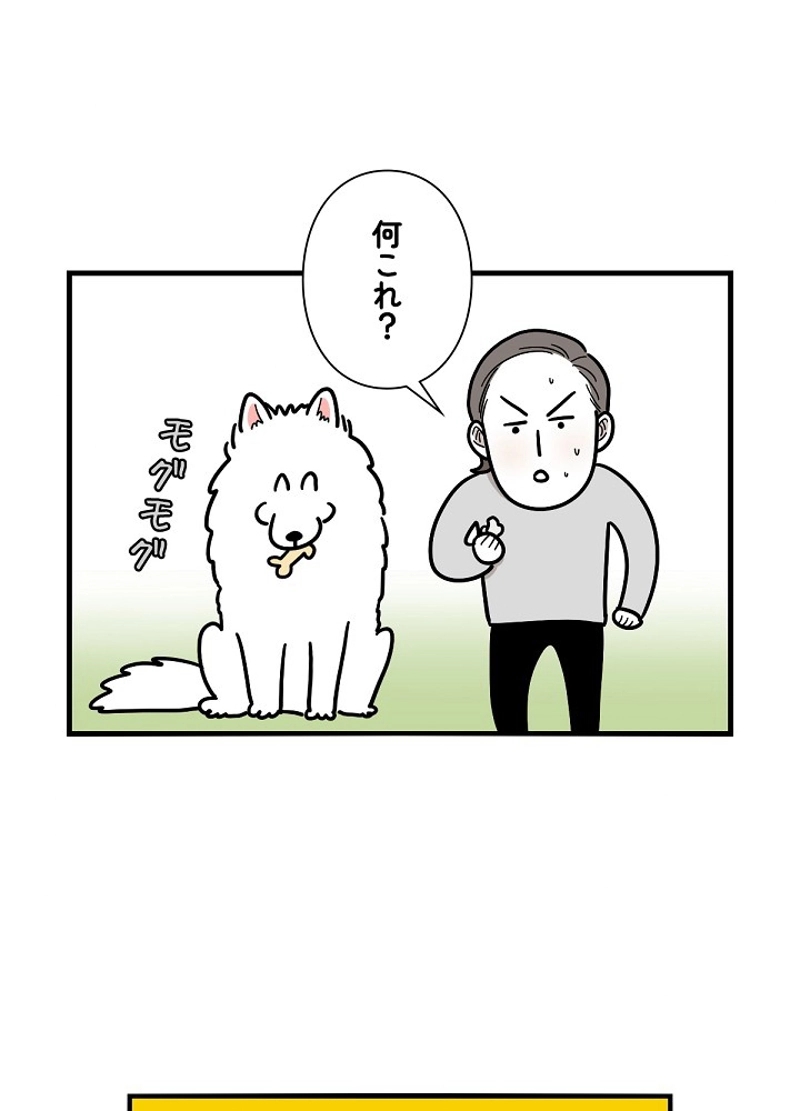 愛犬ソミとの極限ライフ 第6話 - Page 8