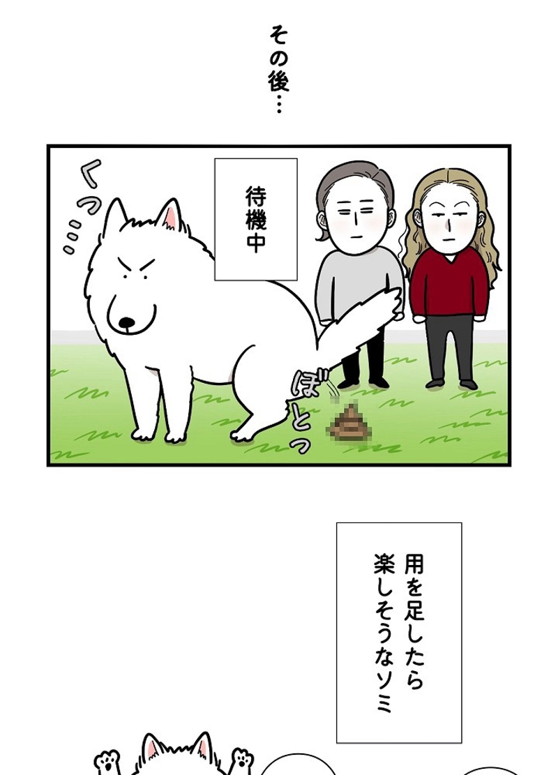 愛犬ソミとの極限ライフ 第6話 - Page 36