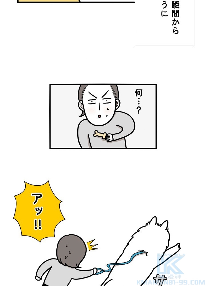 愛犬ソミとの極限ライフ 第6話 - Page 22