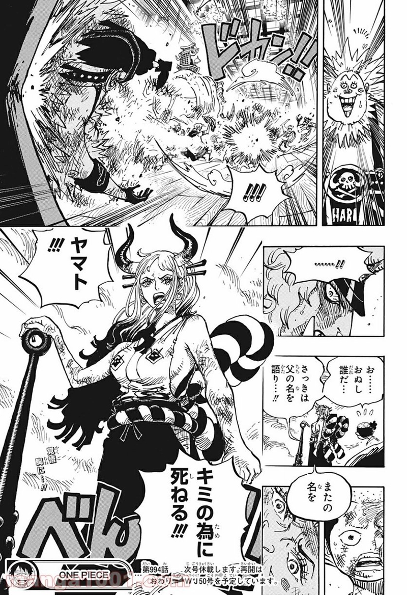 ワンピース 第994話 - Page 17