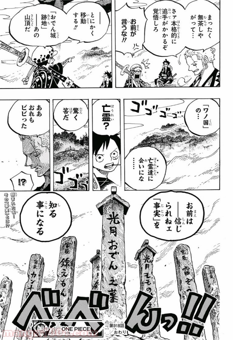 ワンピース 第918話 - Page 17
