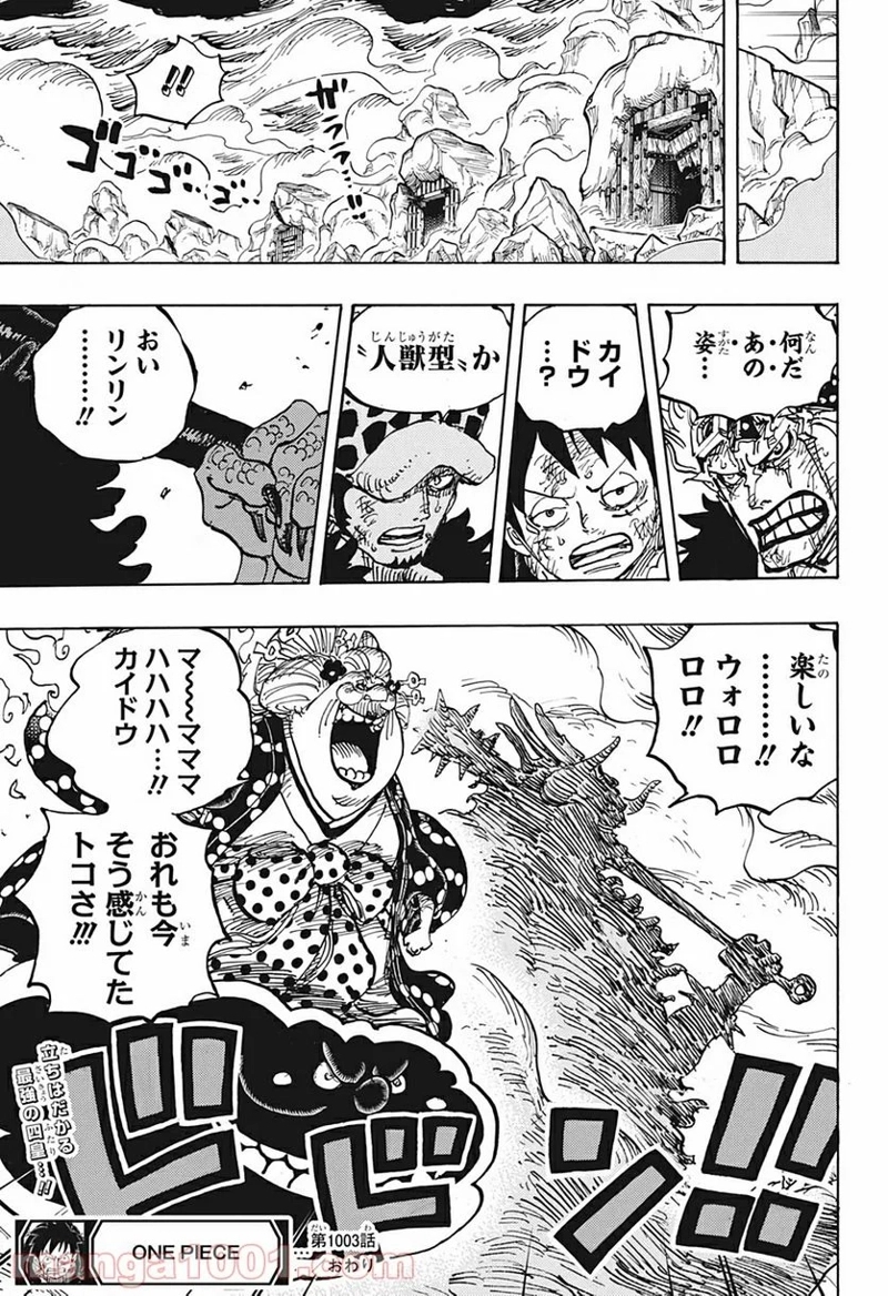 ワンピース 第1003話 - Page 17