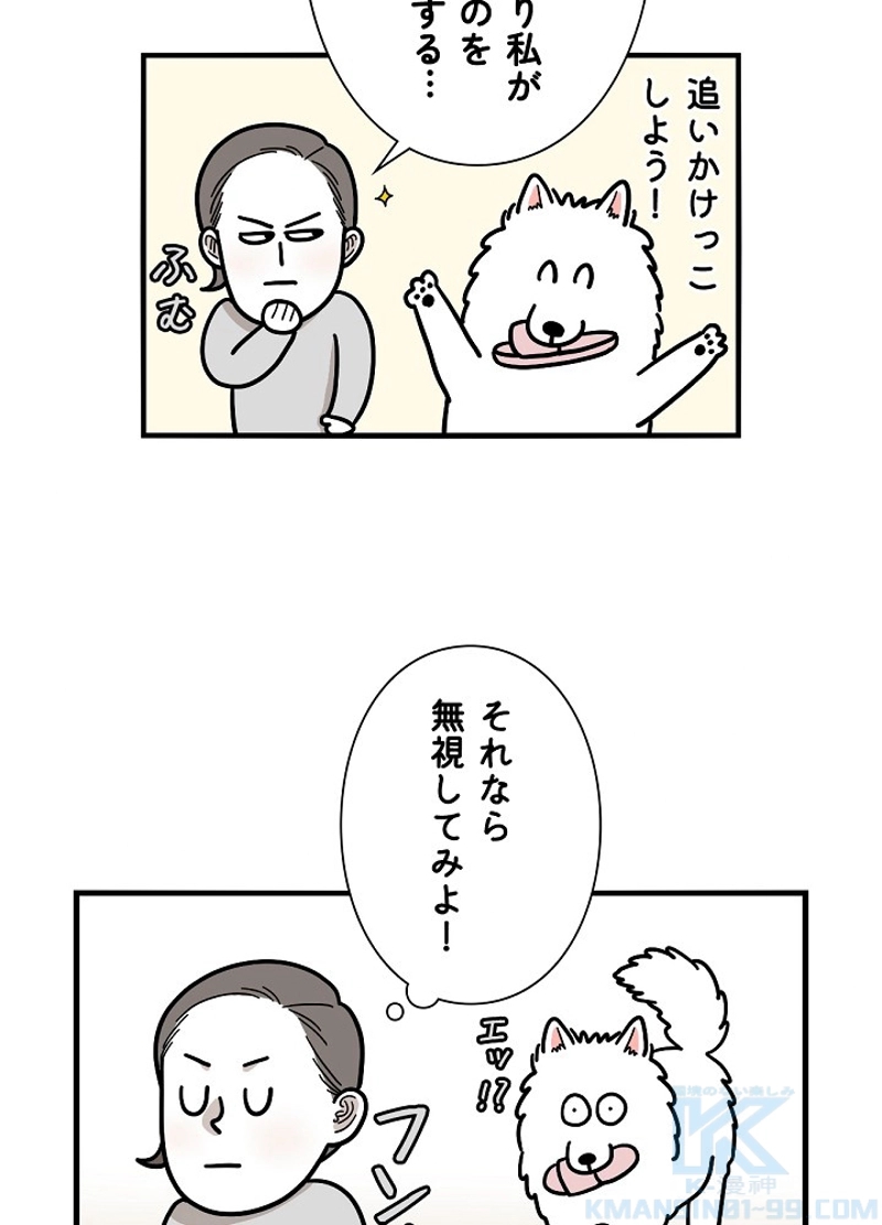 愛犬ソミとの極限ライフ 第14話 - Page 13