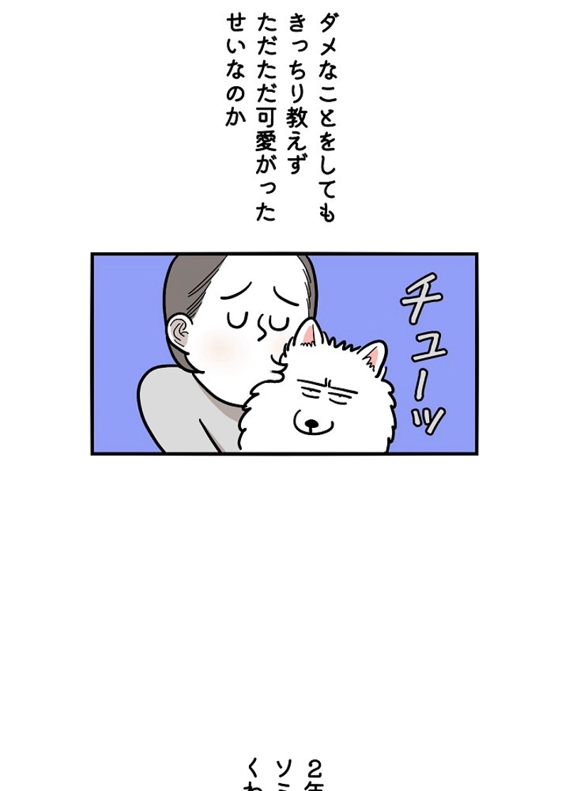 愛犬ソミとの極限ライフ 第14話 - Page 6