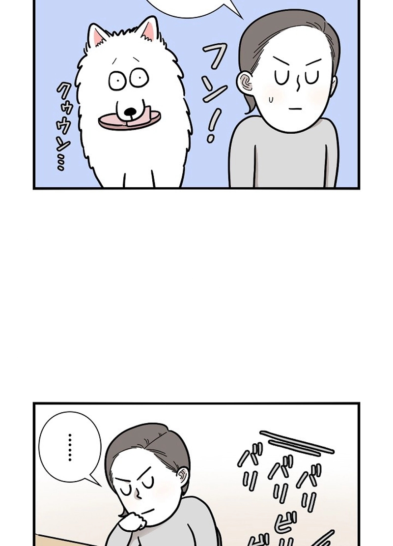 愛犬ソミとの極限ライフ 第14話 - Page 29