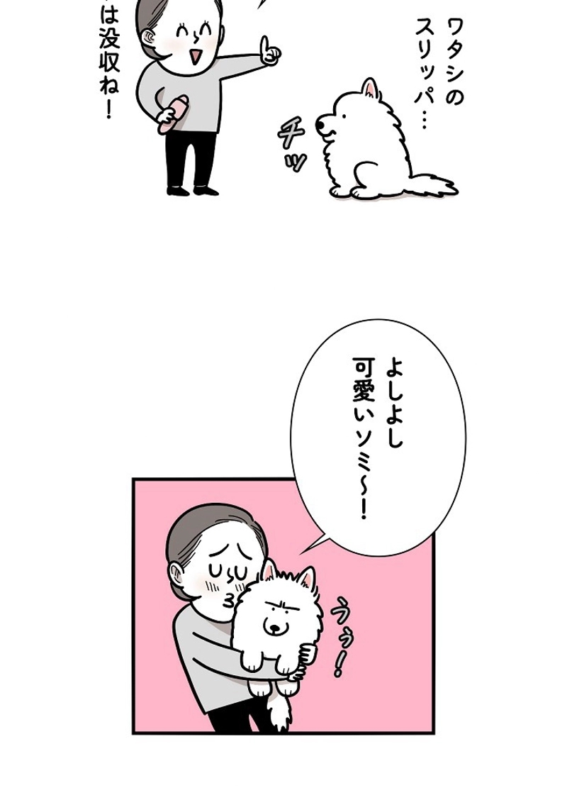 愛犬ソミとの極限ライフ 第14話 - Page 5