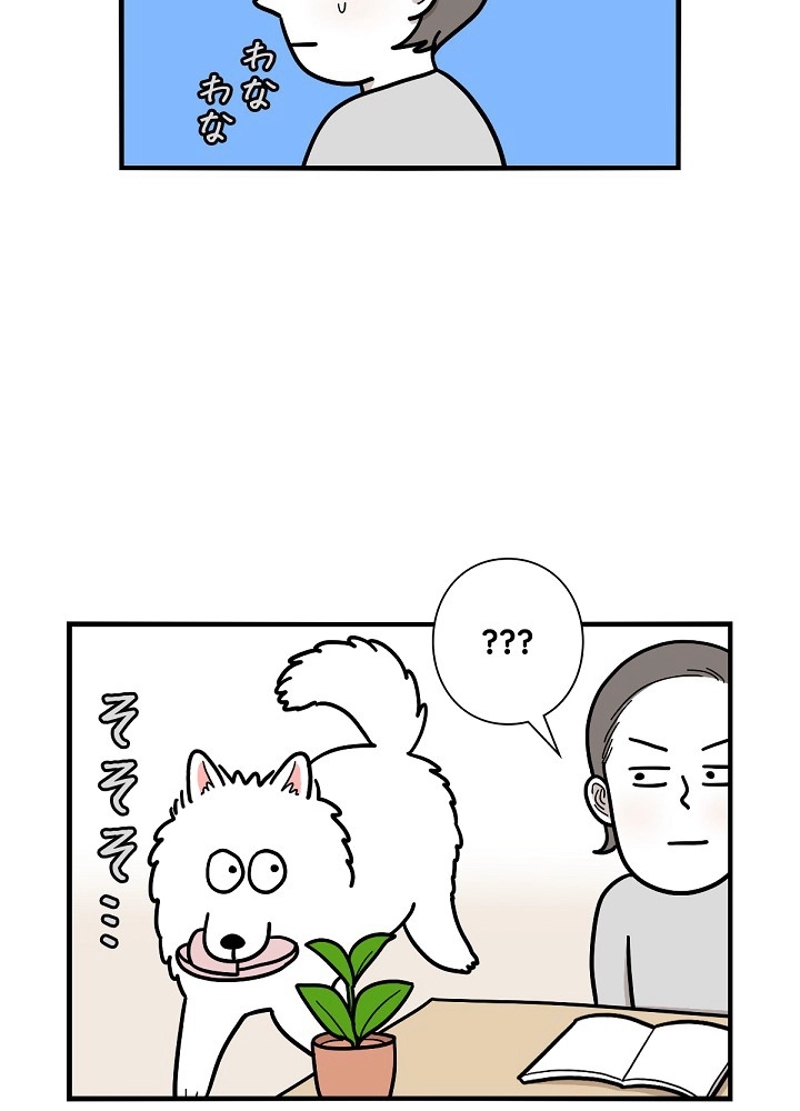 愛犬ソミとの極限ライフ 第14話 - Page 17