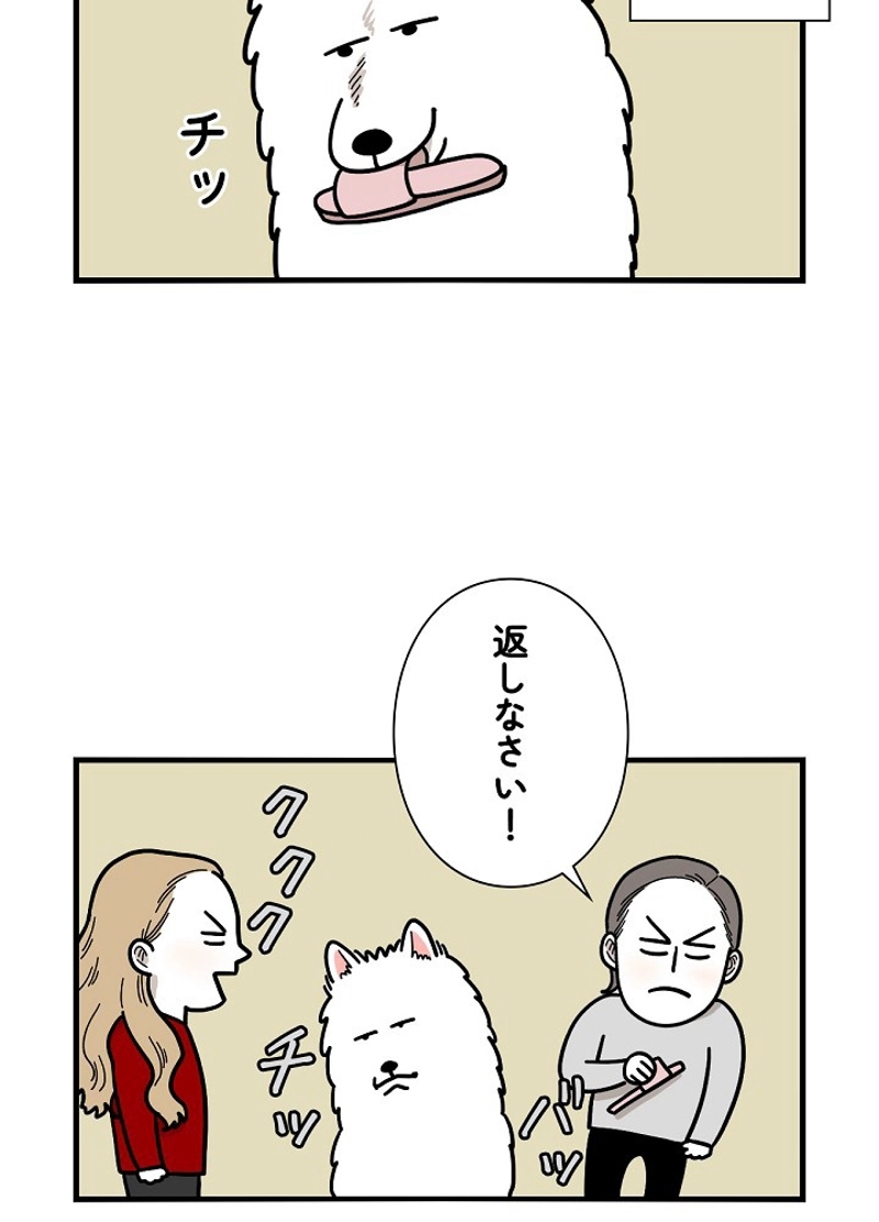 愛犬ソミとの極限ライフ 第14話 - Page 38