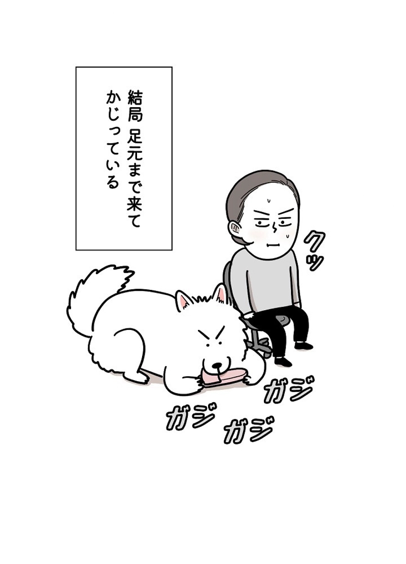 愛犬ソミとの極限ライフ 第14話 - Page 18