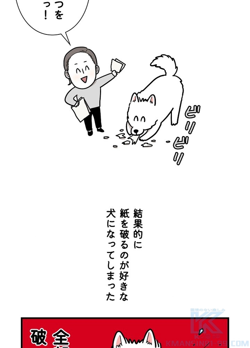 愛犬ソミとの極限ライフ 第14話 - Page 43