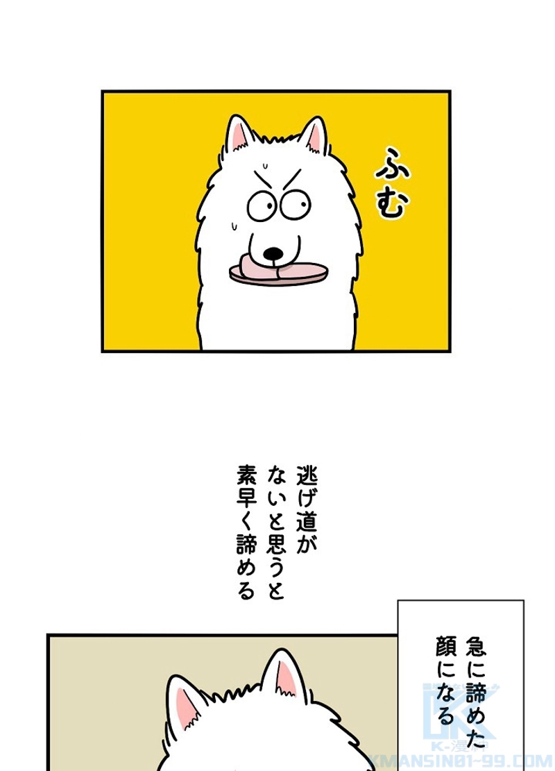 愛犬ソミとの極限ライフ 第14話 - Page 37