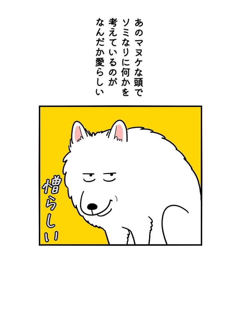 愛犬ソミとの極限ライフ 第14話 - Page 39