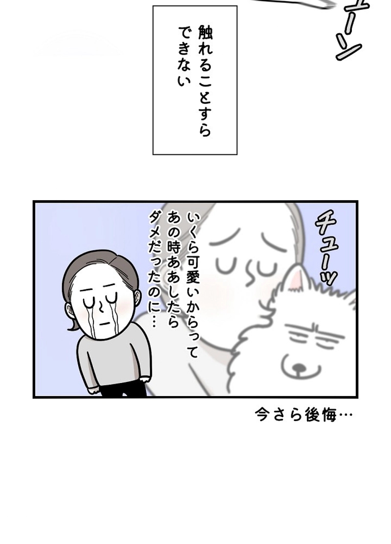愛犬ソミとの極限ライフ 第14話 - Page 11