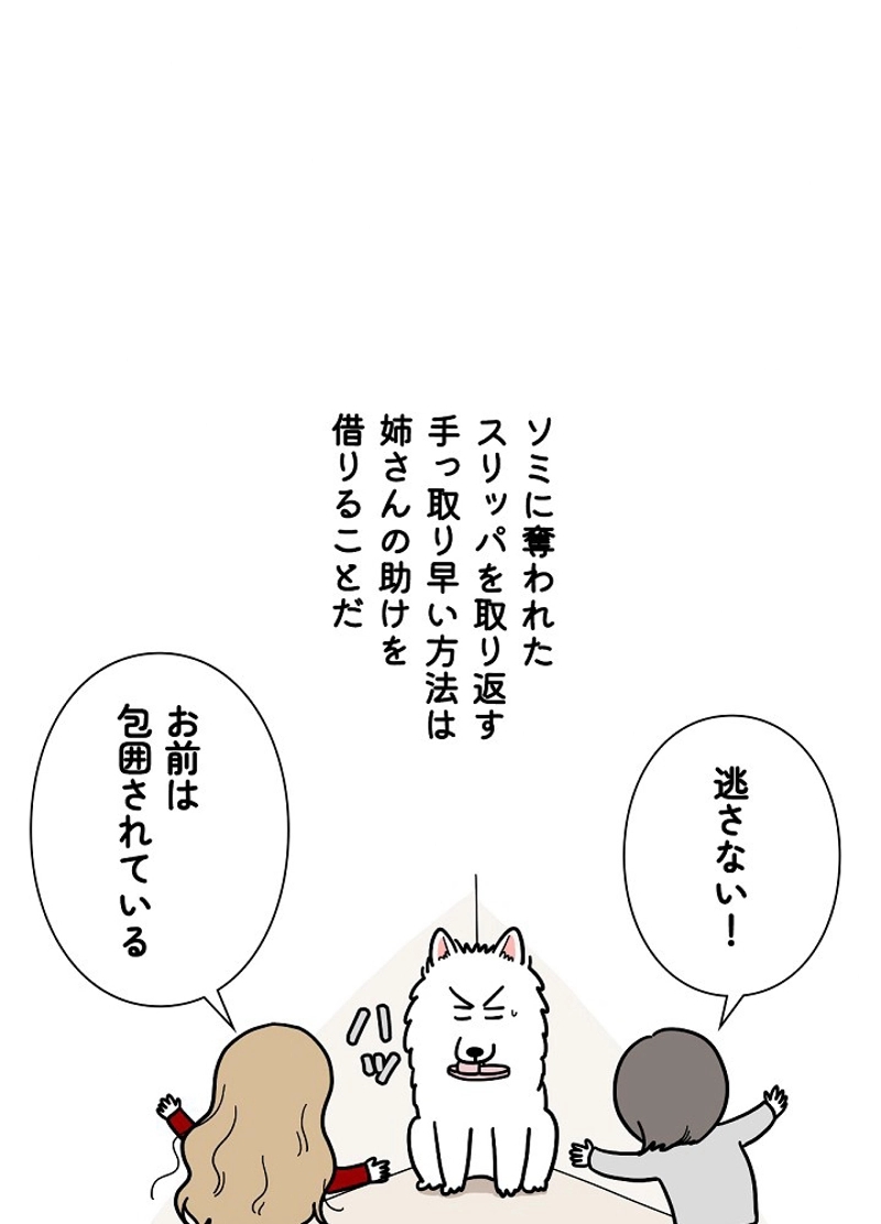 愛犬ソミとの極限ライフ 第14話 - Page 35