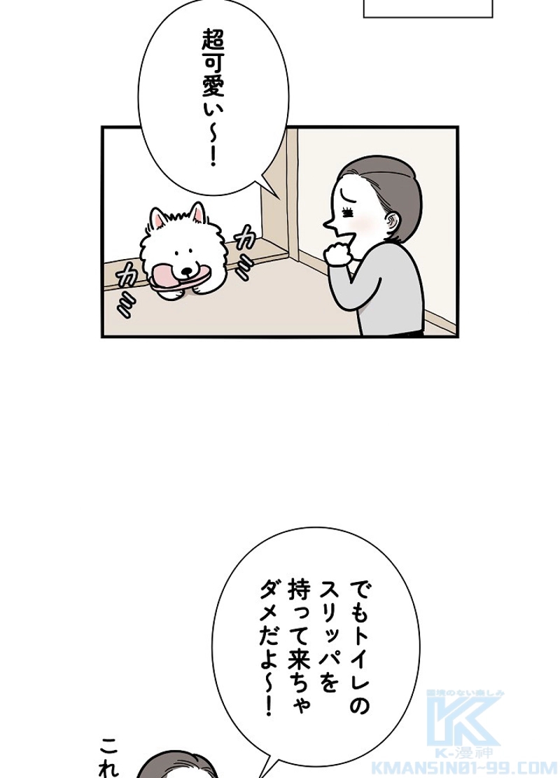 愛犬ソミとの極限ライフ 第14話 - Page 4