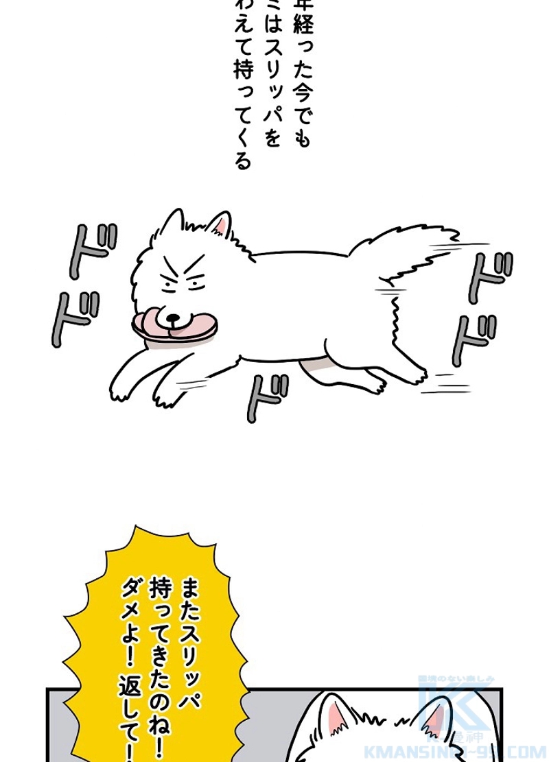 愛犬ソミとの極限ライフ 第14話 - Page 7